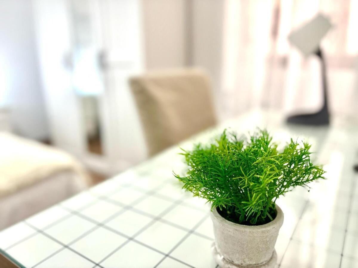 Apartamento Amaro